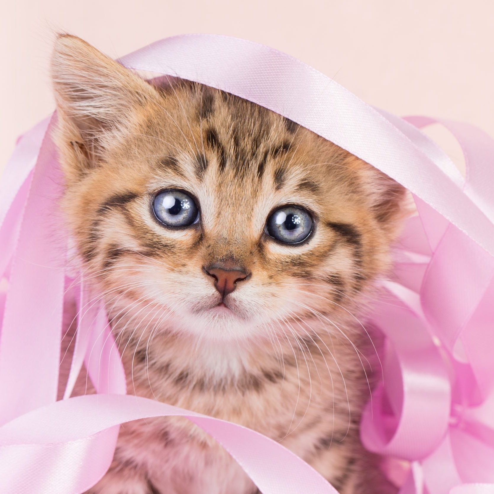 GettyImages-988013222-scaled-e1618857975729